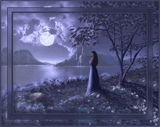 :  989030565.gif
: 14
:  61,9 