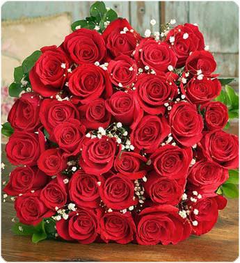 :  136424_t.jpg
: 94
:  34,6 