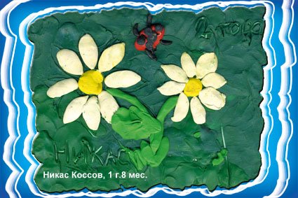 :  .jpg
: 40
:  41,5 
