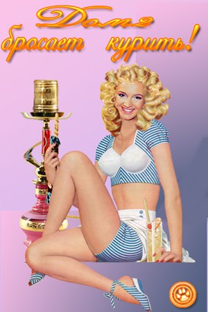 :  bcd7320a843f.jpg
: 138
:  30,6 