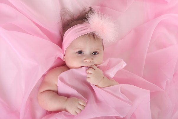 :    1.jpg
: 82
:  24,9 