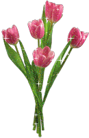 :  e1cffaef0086caaf9af8f90c67d7fda9.gif
: 66
:  19,9 