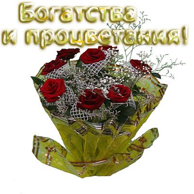 :  2763559.jpg
: 177
:  31,7 