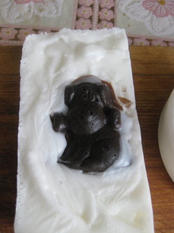 :  x_ca1aa21f.jpg
: 278
:  25,2 