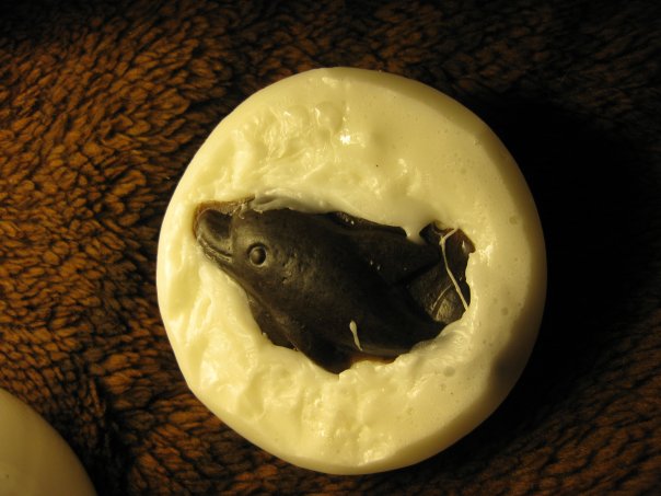 :  x_9c66105d.jpg
: 280
:  48,1 