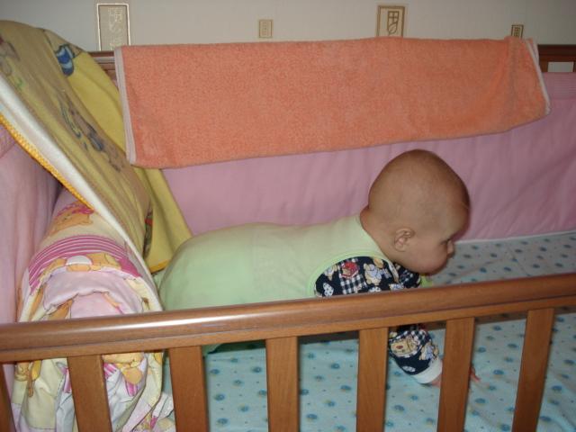 :  DSC01596f.JPG
: 69
:  43,8 