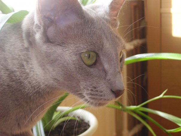 :  .jpg
: 74
:  52,1 