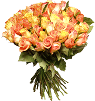 :  7deede23f029166130f969002108b038.gif
: 67
:  39,2 