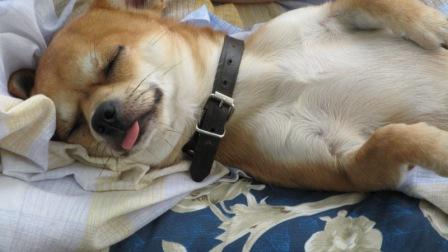 :  JPG_0556.JPG
: 114
:  21,4 