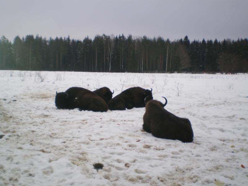 :  4.jpg
: 70
:  46,6 