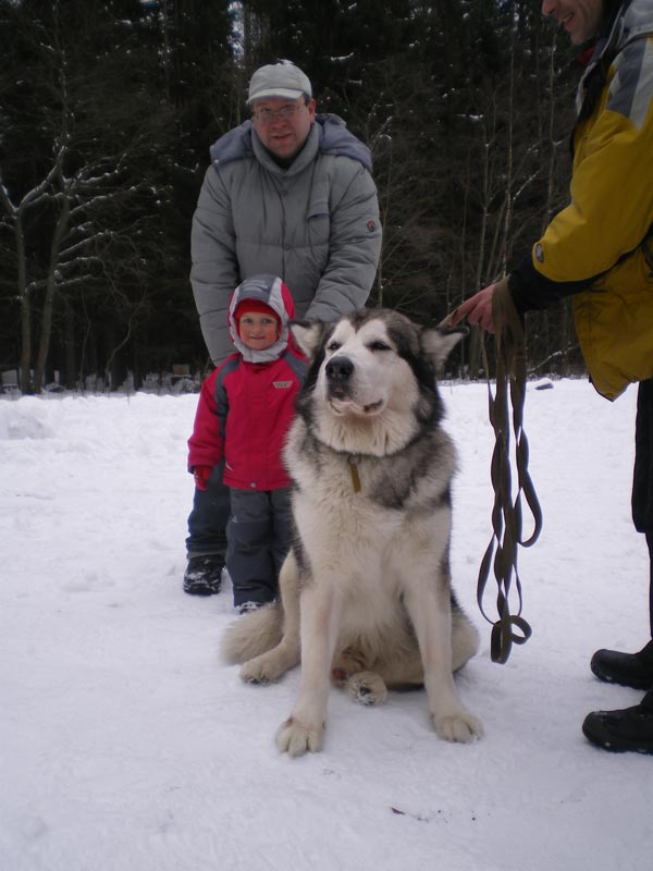 :  1.jpg
: 71
:  56,8 