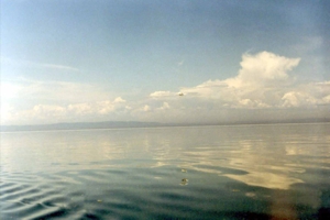 :  199807014207.JPG
: 60
:  45,6 