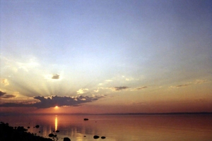 :  199807011501.JPG
: 56
:  44,1 