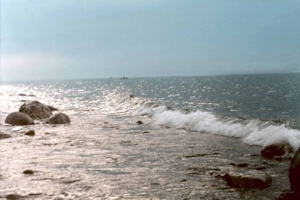 :  199807014214.JPG
: 60
:  52,1 