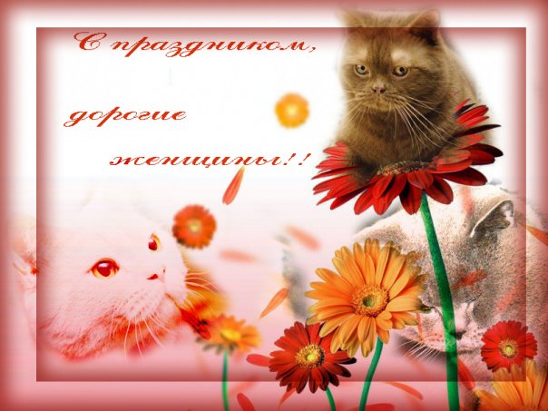 :  x_8845b748.jpg
: 127
:  58,6 