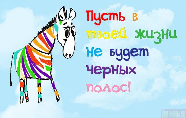 :  .jpg
: 49
:  48,2 