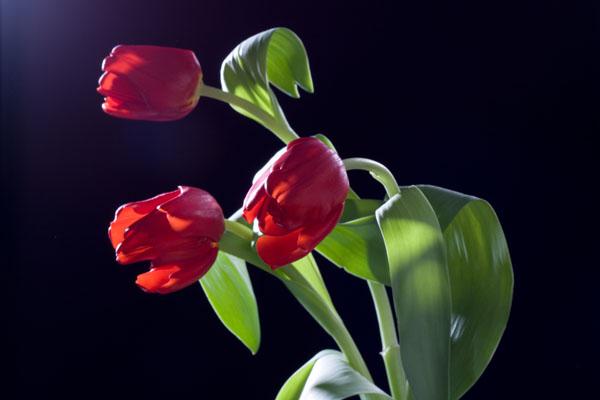 :  IMG_1494.jpg
: 22
:  34,0 