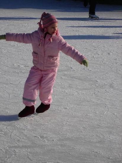 :  Resize of Resize of DSC06373.JPG
: 86
:  46,2 