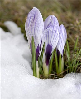 :  51d1327f96b0.jpg
: 213
:  17,7 
