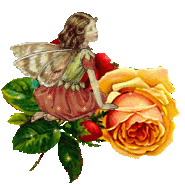 :  d71414322ea5714e9630dd30fd705ecd.gif
: 59
:  43,9 