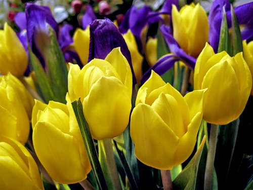 :  0_25a3c_f5fb9649_L.jpg
: 79
:  51,1 