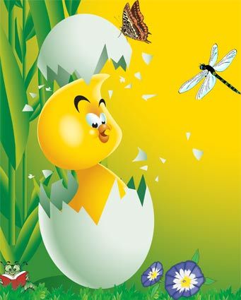 :  21rojjdeniy.jpg
: 45
:  22,5 