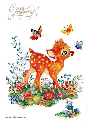 :  db8a6972c25f.jpg
: 60
:  43,0 