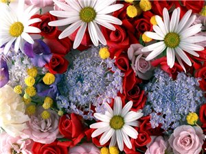 :  f57e627d480c.jpg
: 63
:  30,5 