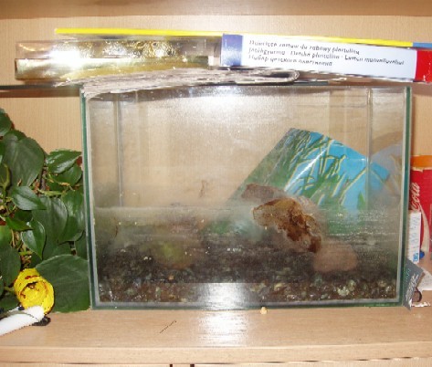 :  PC220014.JPG
: 74
:  56,3 