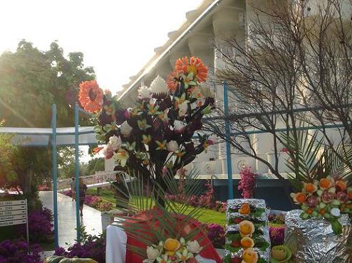:  DSC01405_2.JPG
: 80
:  62,8 