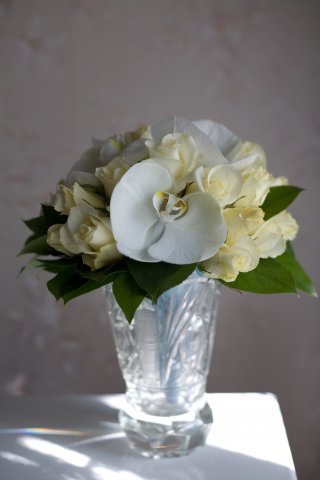 :  x_72f0ba0c.jpg
: 41
:  19,6 