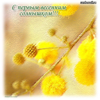 :  390758aa8cab.jpg
: 21
:  49,6 