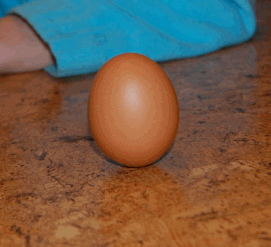 :  egg.gif
: 96
:  31,0 