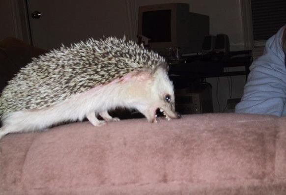 :  40443.jpg
: 174
:  30,7 