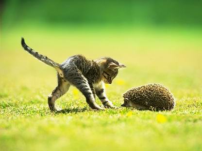 :  9.jpg
: 163
:  16,9 