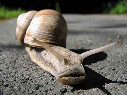 :  6.jpg
: 163
:  23,5 