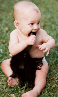 :  5.jpg
: 163
:  22,2 