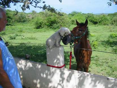 :  7.jpg
: 163
:  28,2 