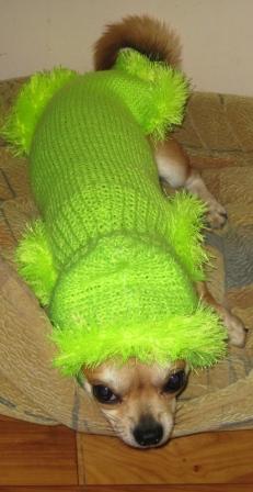 :  IMG_1174.JPG
: 56
:  20,7 