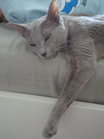 :   4.jpg
: 66
:  20,6 