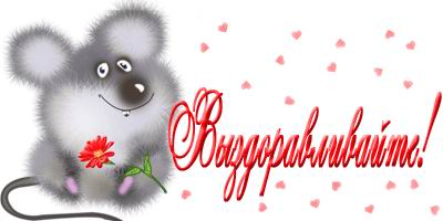 :  .jpg
: 49
:  14,1 