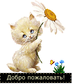 :  848777c621c902197c348de90cbc9ac1.gif
: 51
:  11,5 