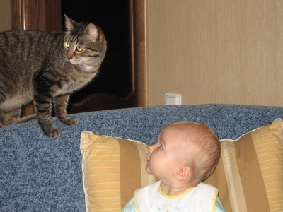 :  IMG_01771.jpg
: 44
:  47,9 