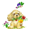 :  f3bfb18d758a43e01ec9a332265f44a5.gif
: 66
:  12,7 