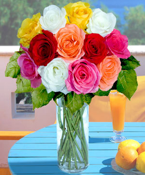 :  FOLWERS.jpg
: 68
:  40,3 