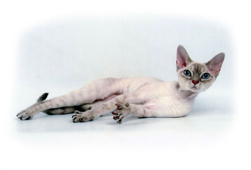 :  2.jpg
: 82
:  14,9 