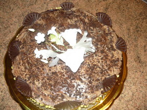 :  P1060559.jpg
: 32
:  57,0 