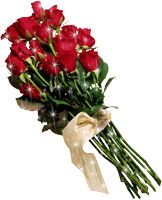 :  971ecec67725da354eda8eb2b37803fb.gif
: 68
:  30,0 