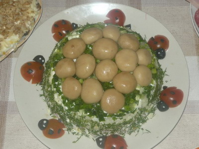 :  P1060574.jpg
: 39
:  54,9 