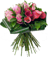 :  63da3e0ba28d8d15fe371fb4a529ffc2.gif
: 82
:  32,7 
